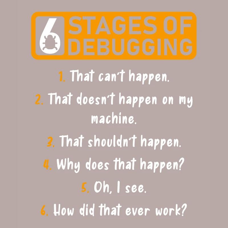 6 Stufen des Debugging Software Entwickler