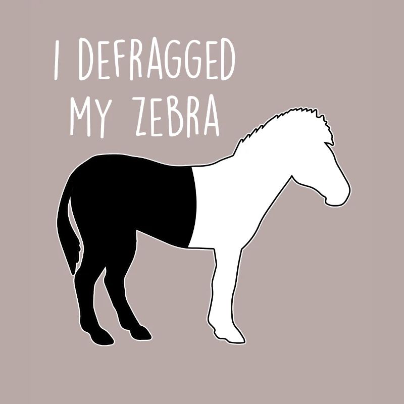 I defragged my Zebra Coder Informatiker Hacker