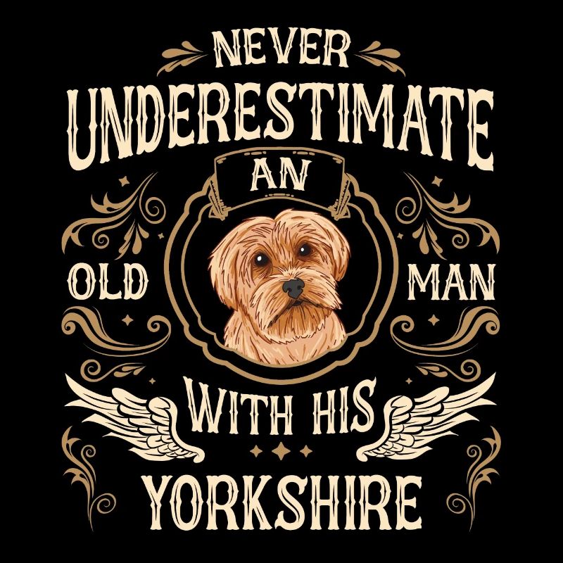 Yorkshire Terrier Hund