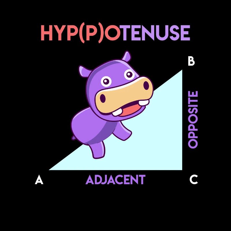 Hypotenuse Hippotenuse Math
