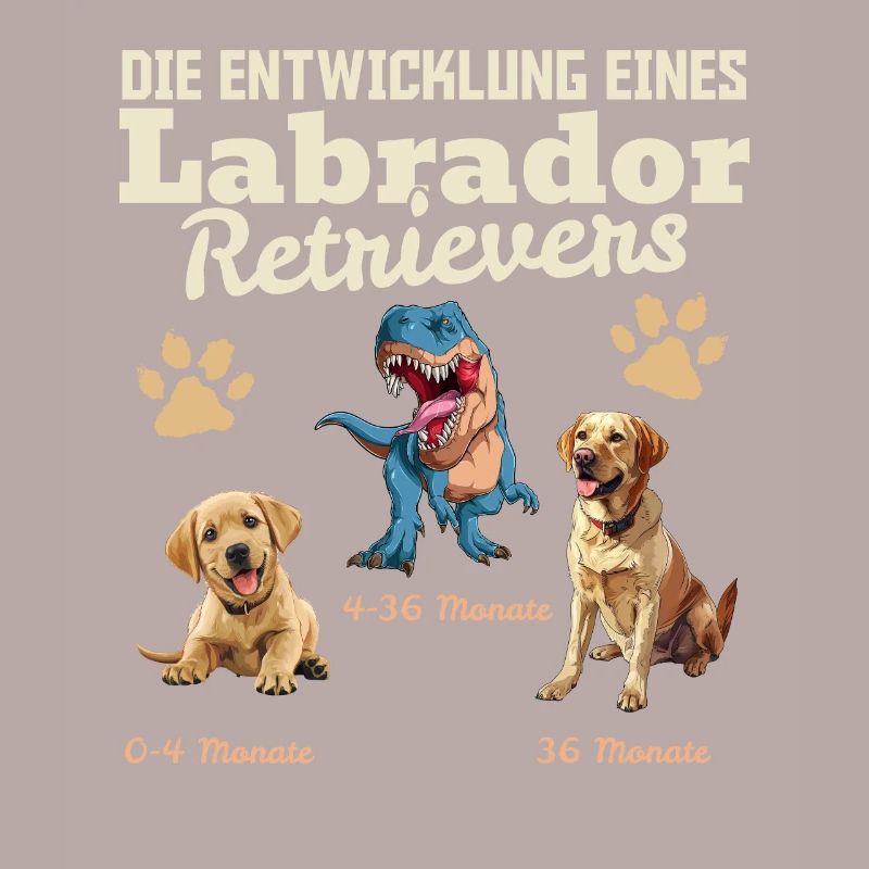 Hundebesitzer DIE EVOLUTION EINES LABRADOR