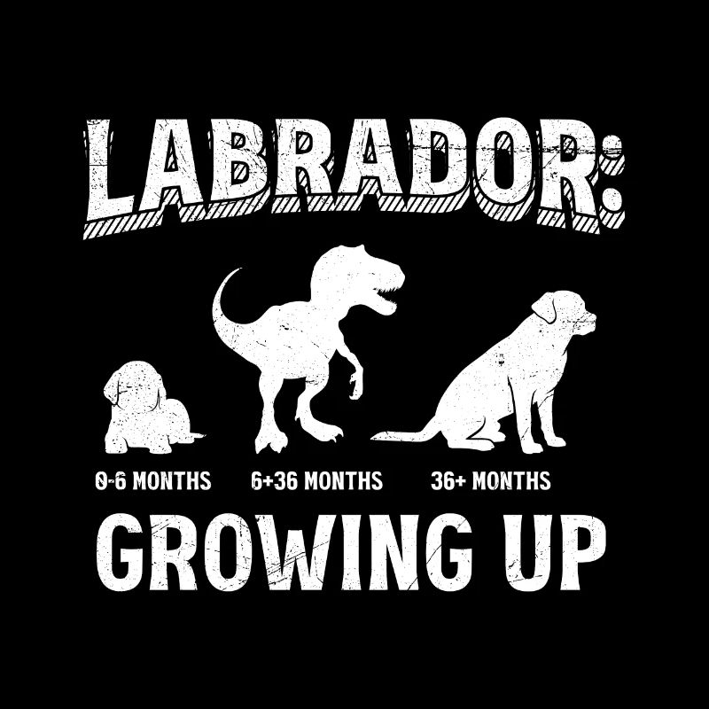 LABRADOR: Growing Up Labrador Lovers Labrador