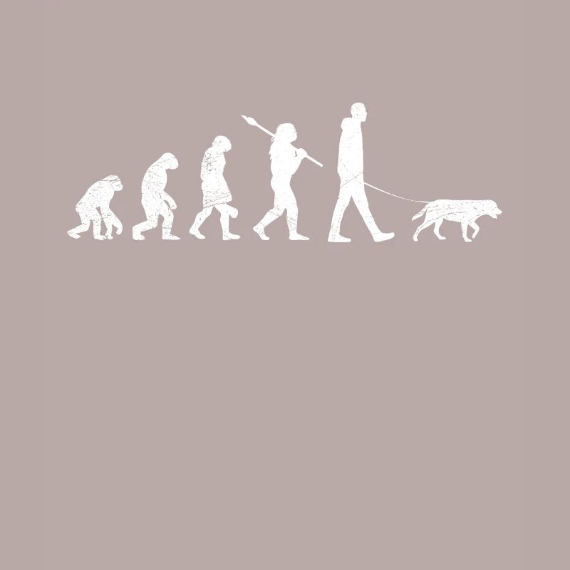 Labrador EVOLUTION Labrador Lover Funny