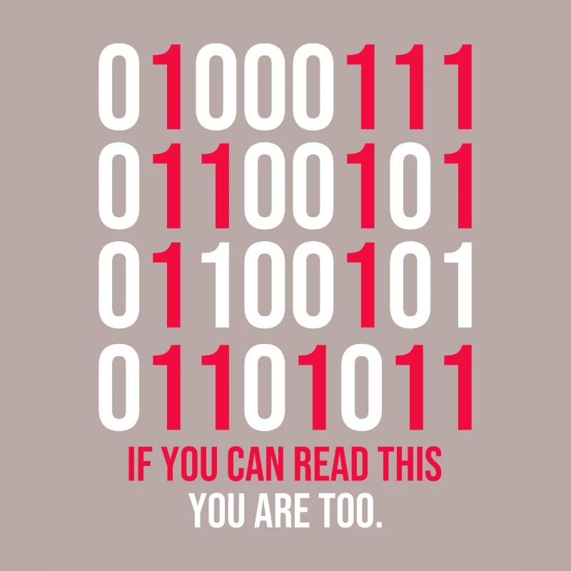 Funny Binary Codes Programmer