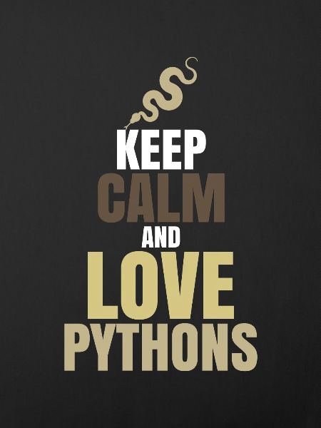 Python