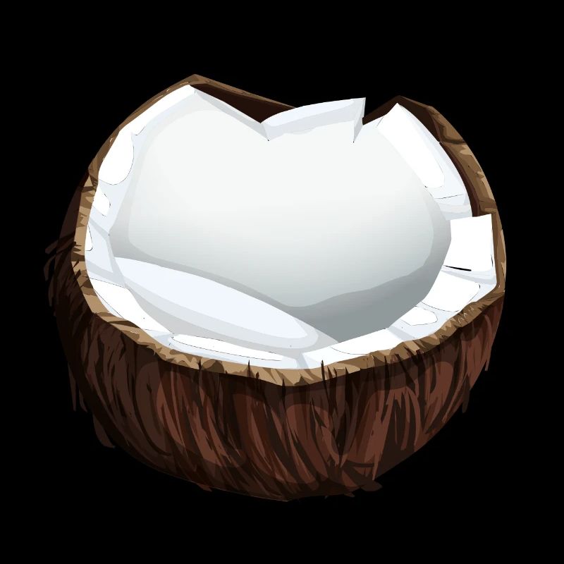 Noix de coco noix de coco fruits de noix de coco