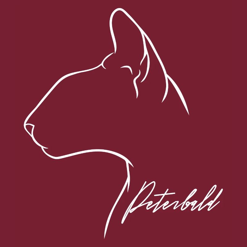 Peterbald Profil Chat Chat Wilsigns