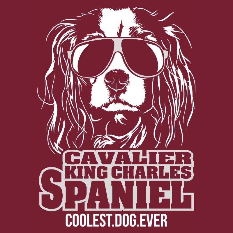 Cavalier King Charles Spaniel chien le plus cool jamais