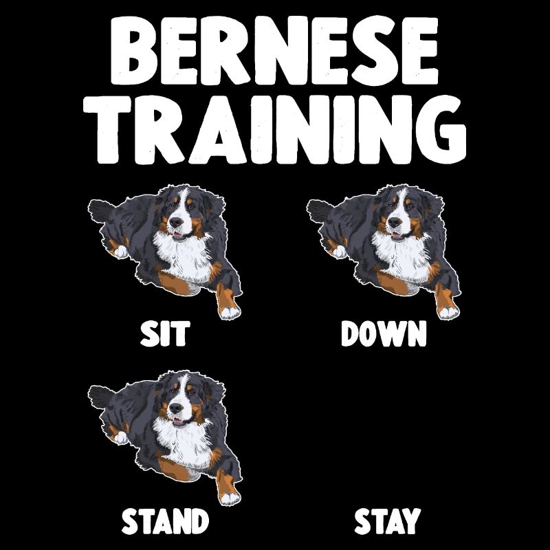 Bouvier Bernois Training Chien