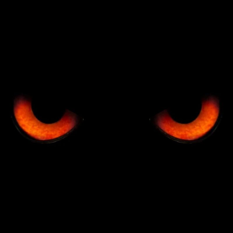 Augen