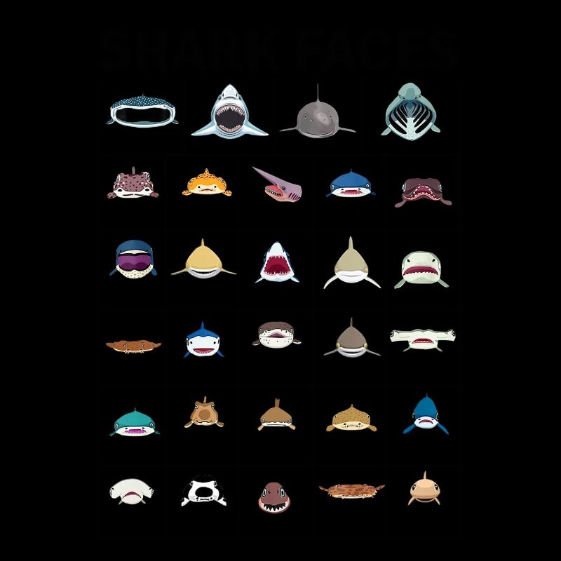 Types de visages de requins. Identification du visage du requin