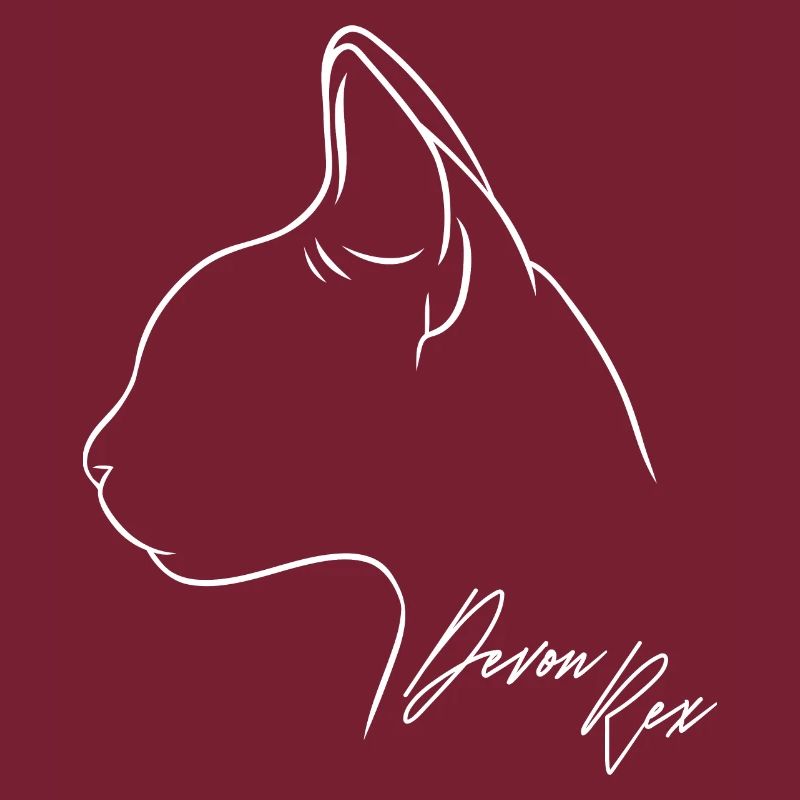 Devon Rex Profil Katzen Katze Wilsigns