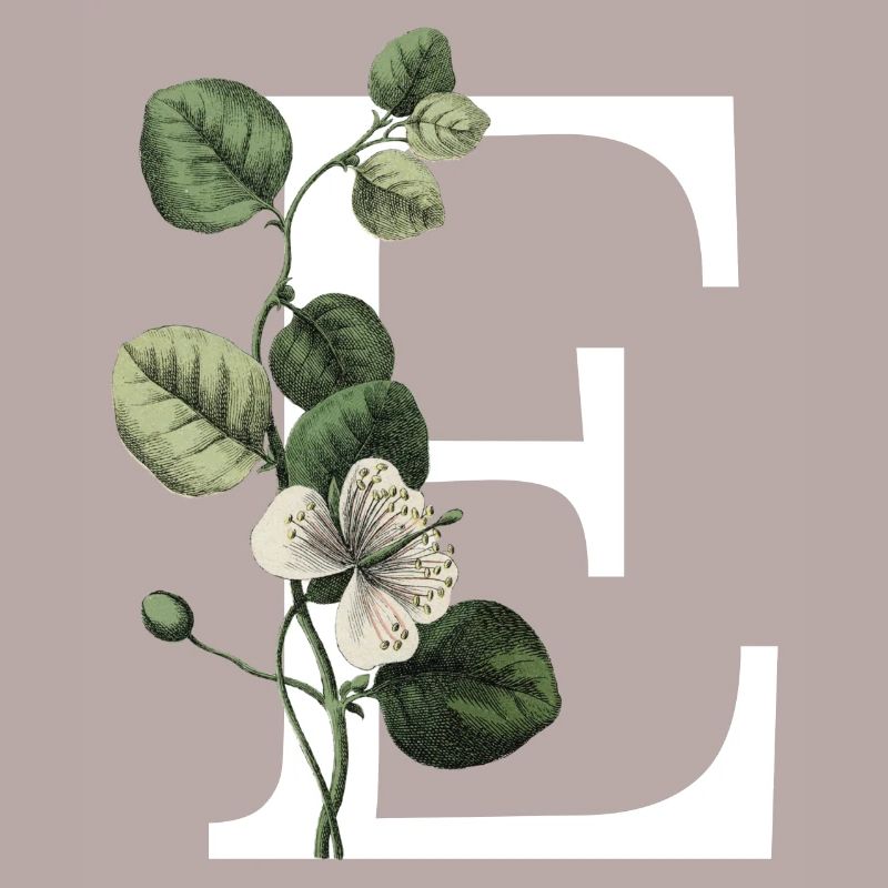 Green Botanical Letter E