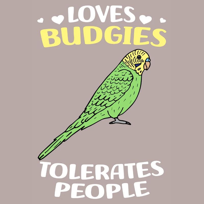 Oiseau Budgerigar
