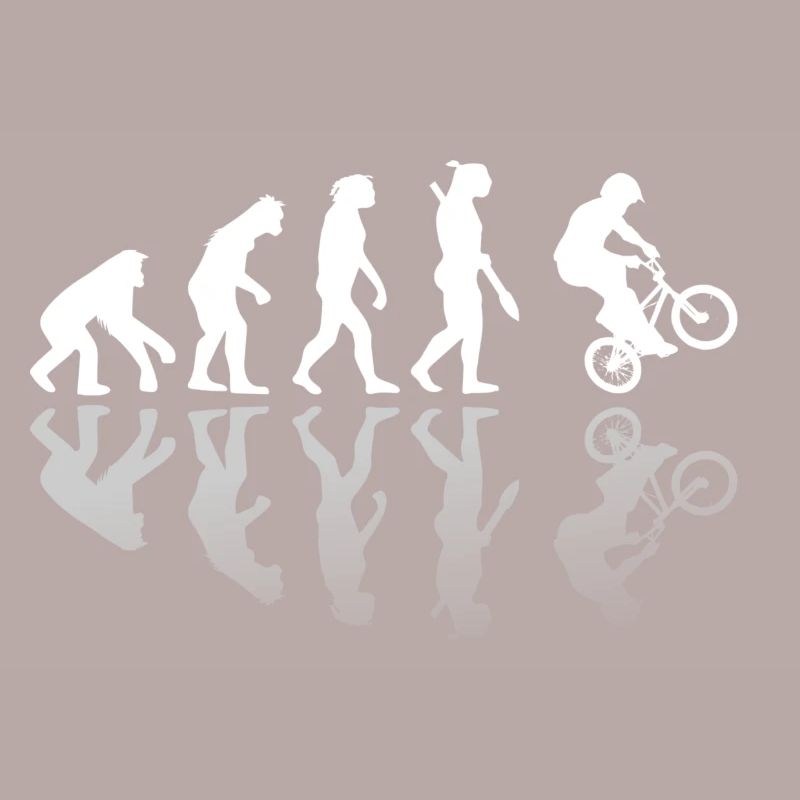 BMX Evolution Spiegel Geschenk