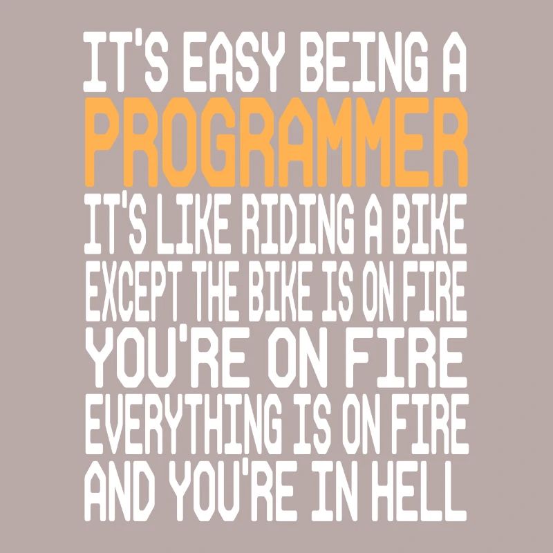 Programmer