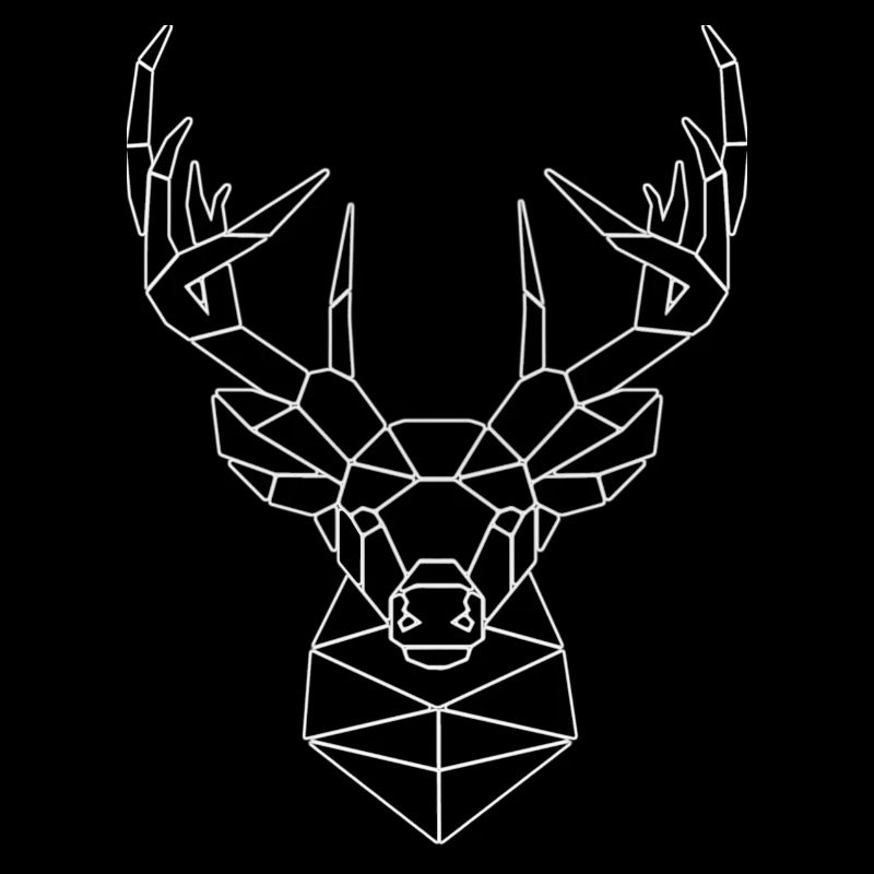 Reindeer geometry
