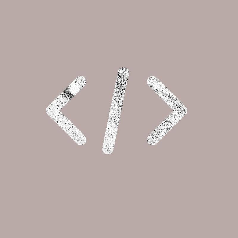 Programmeurs de script