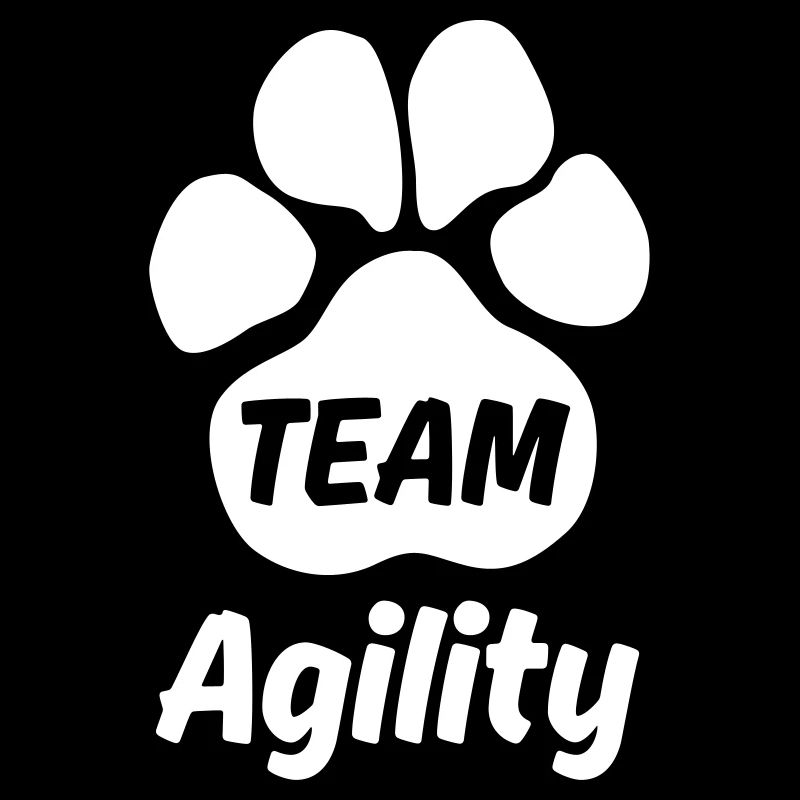 Team Agility
