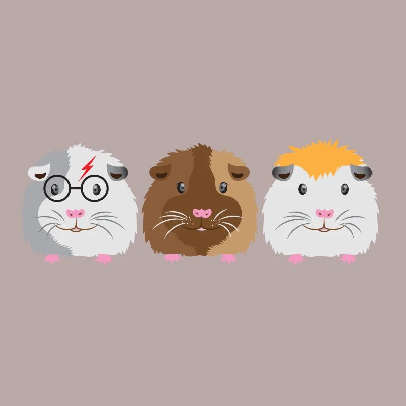 Trois petits cochons d'Inde