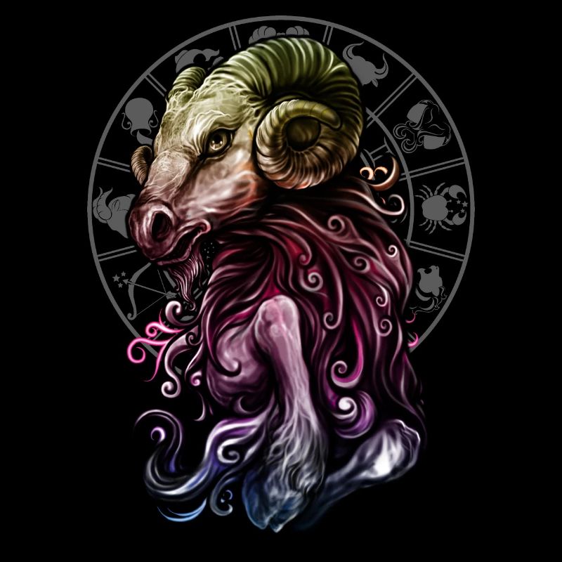 Sternzeichen Widder rainbow grey - RAHMENLOS