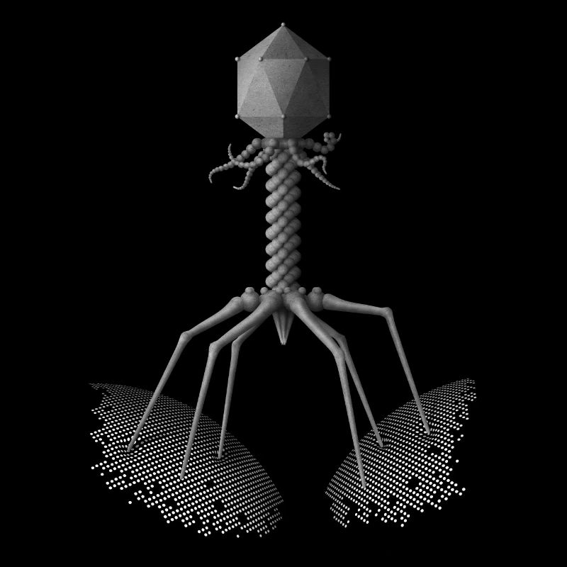 Phage