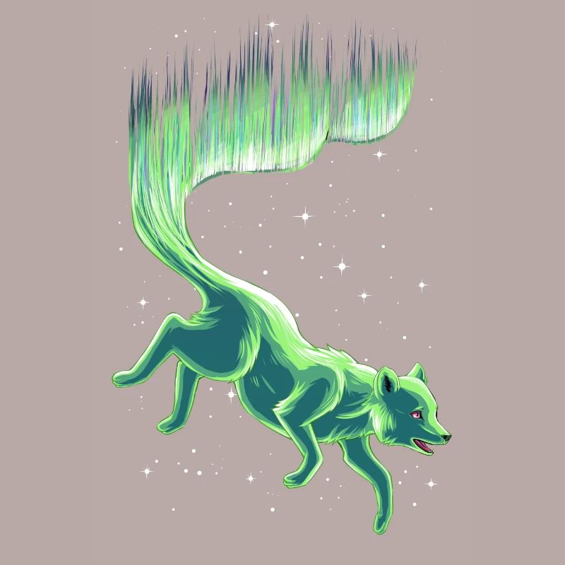 Arctic fox fox aurora