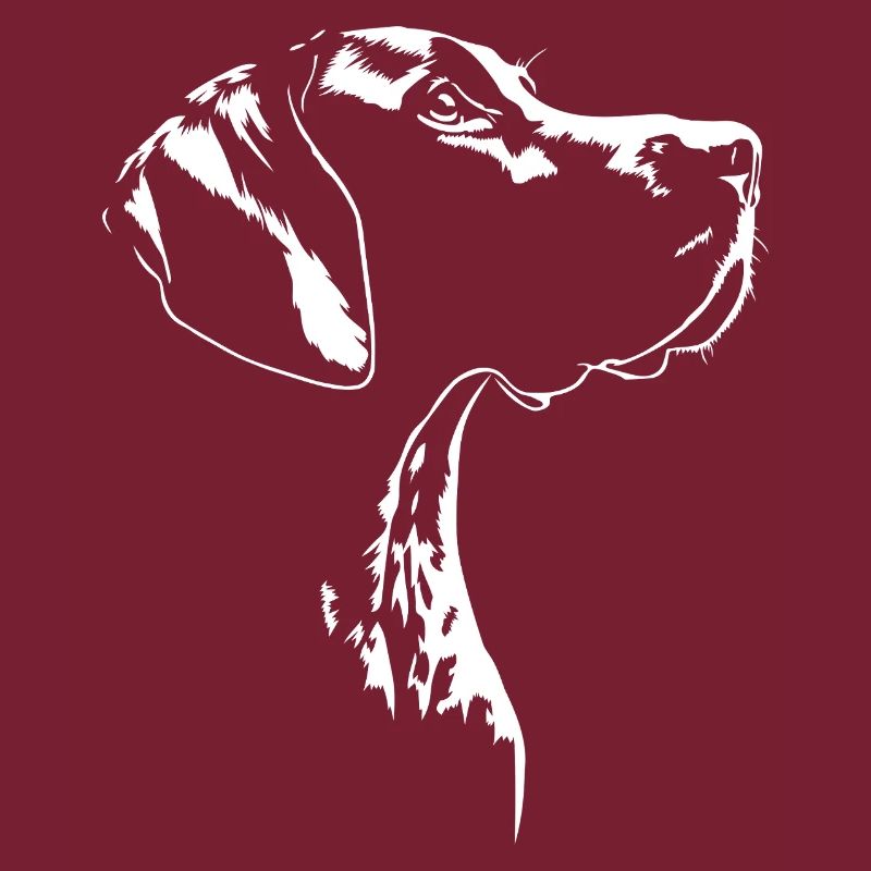 Deutsch Kurzhaar Jagdhund Jagdhunde Hund Wilsigns