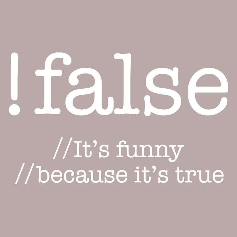 False Programming Coding Programmers Gift