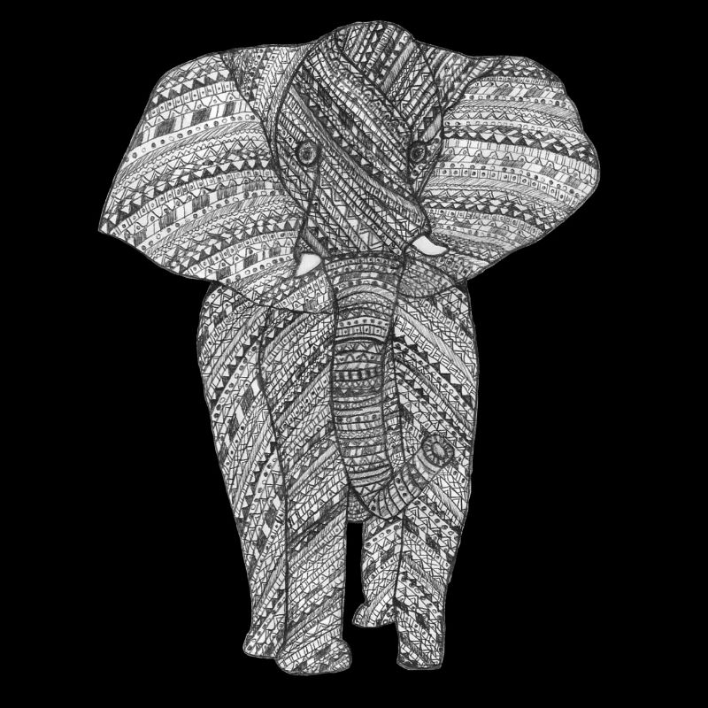 Elépant noir et blanc