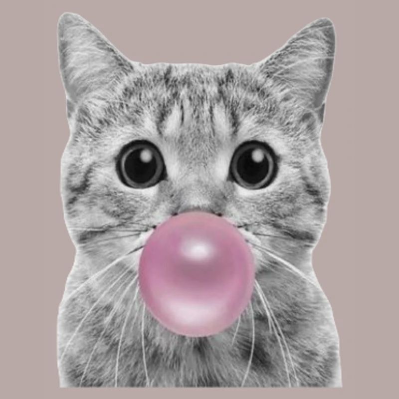 Bubble Cat