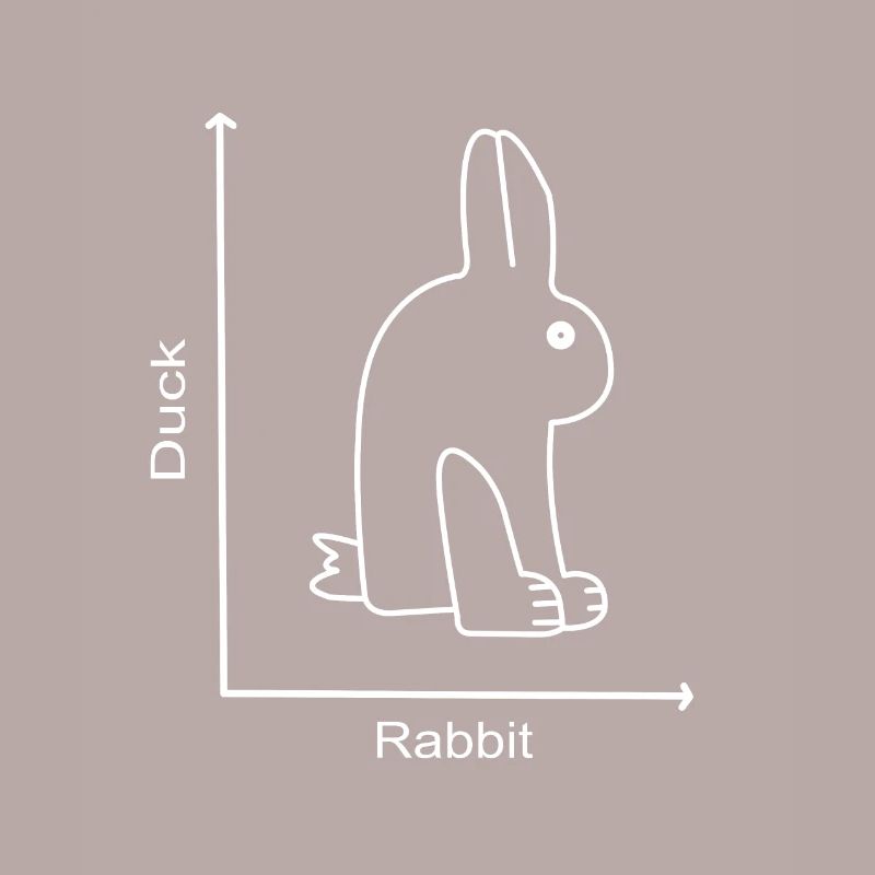 DUCK RABBIT - Hase Ente - Graph lesson