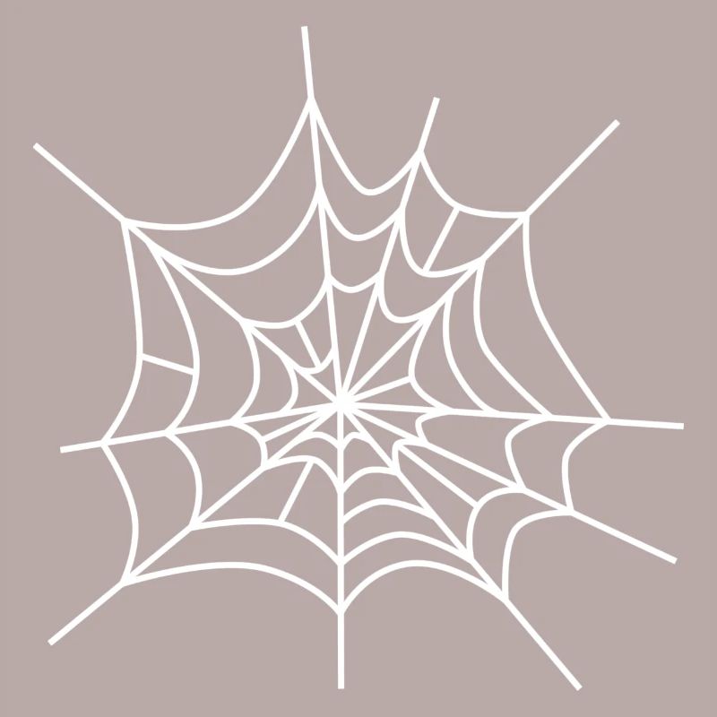 Cobweb spiderweb icon spiderweb icon