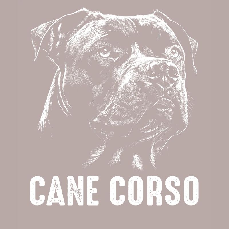 Cane Corso Hund