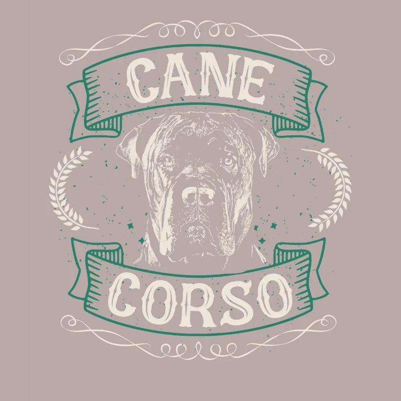 Cane Corso Hund