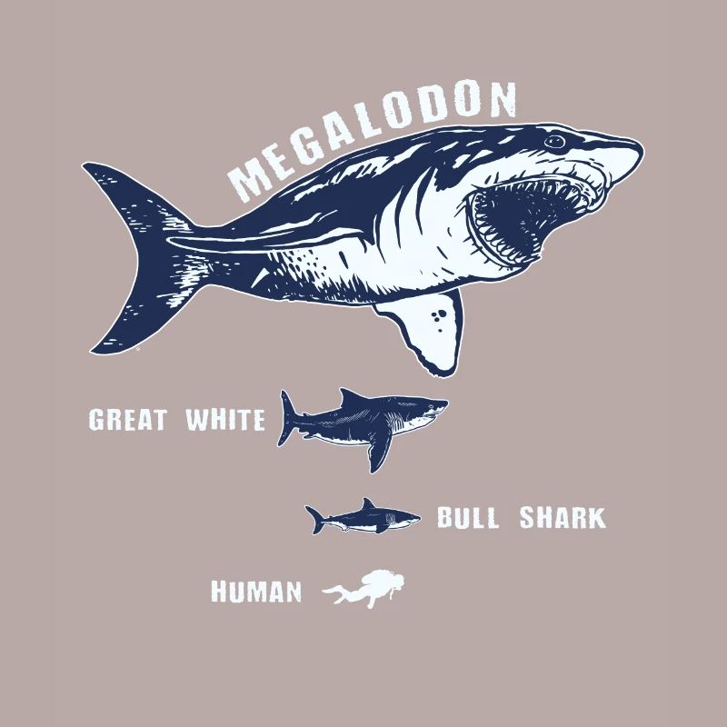 Requin requin de requin de megalodon requin blanc plongeur