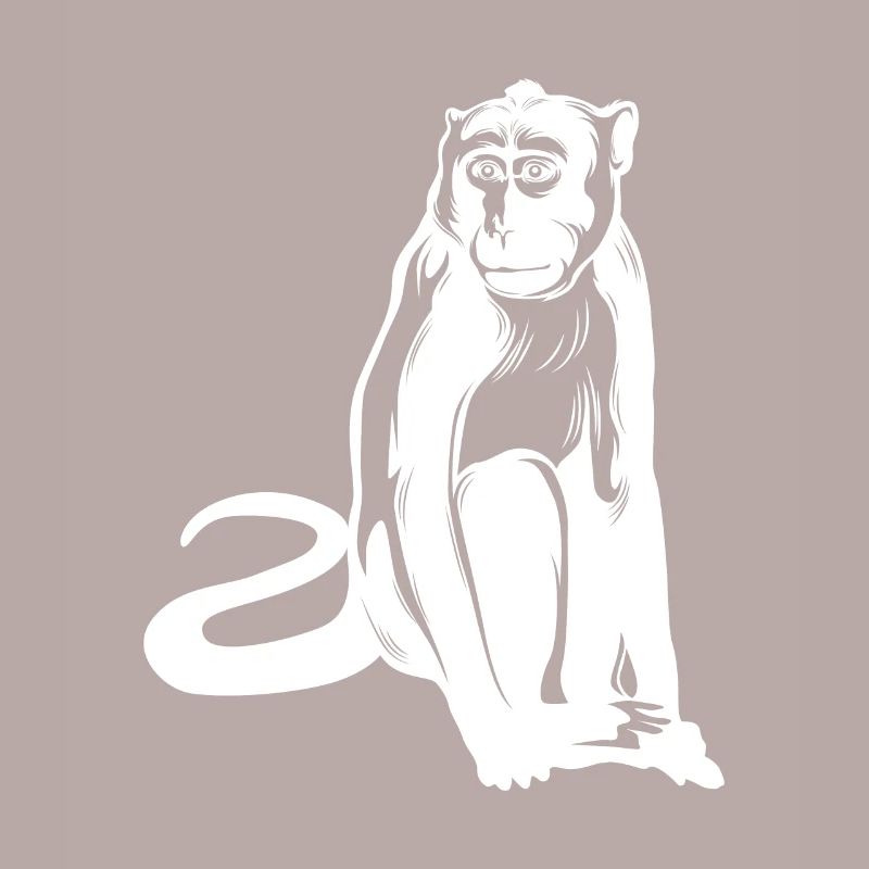 Monkey Monkey Animal