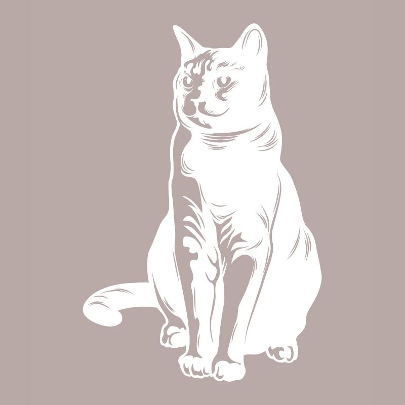 Katze Tier Silhouette