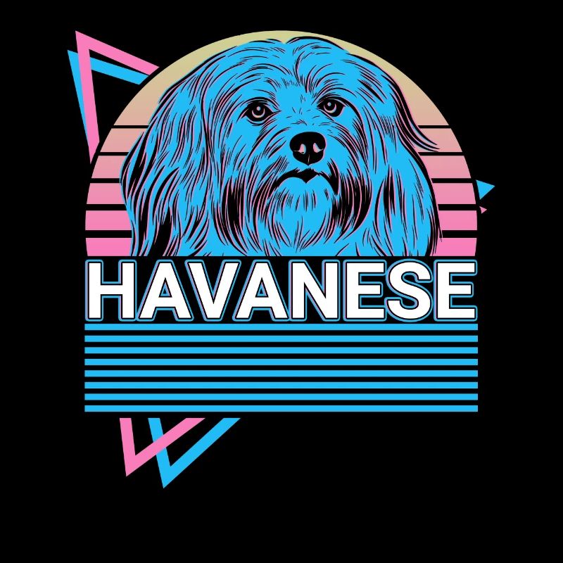 Rétro havanais