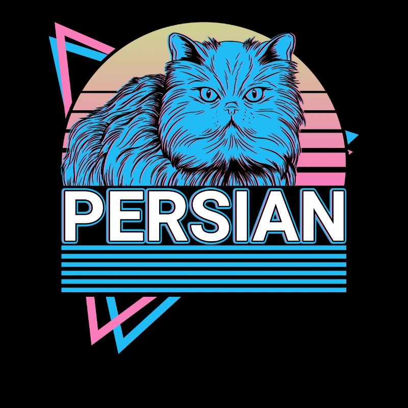 Chat Persan Rétro