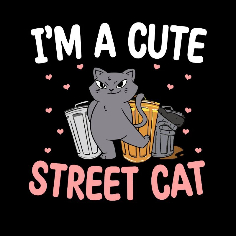 Mignon chat de rue Multon chatte chatte