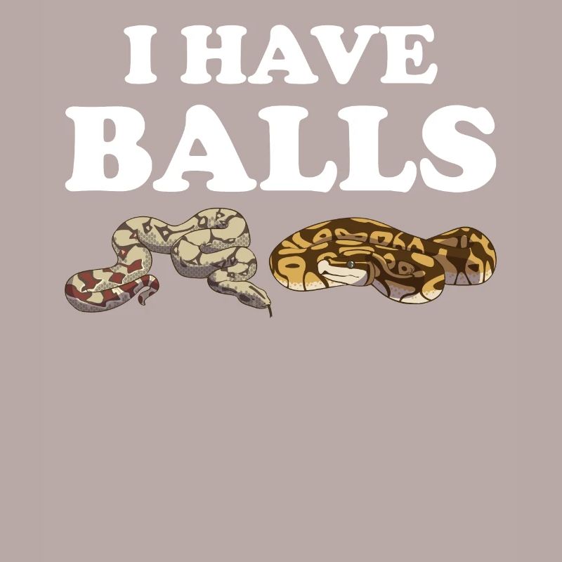 Funny Ball Python Snake