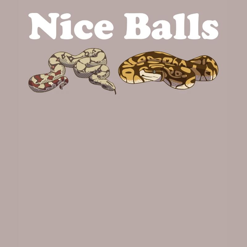 Funny Ball Python Snake