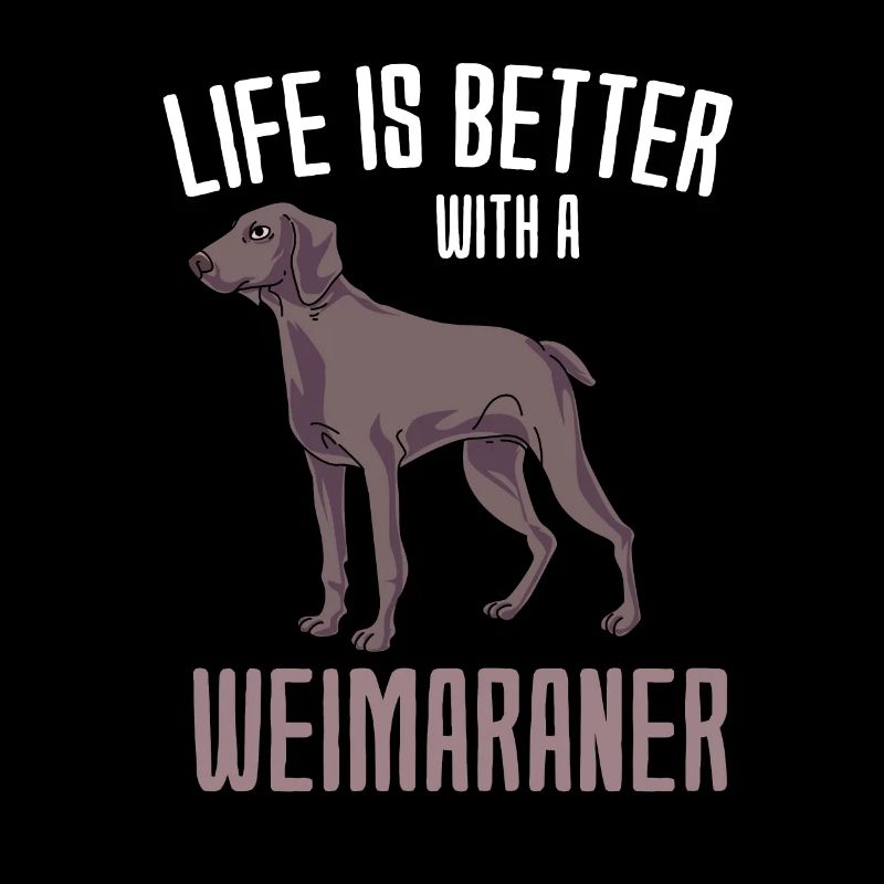 Weimaraner