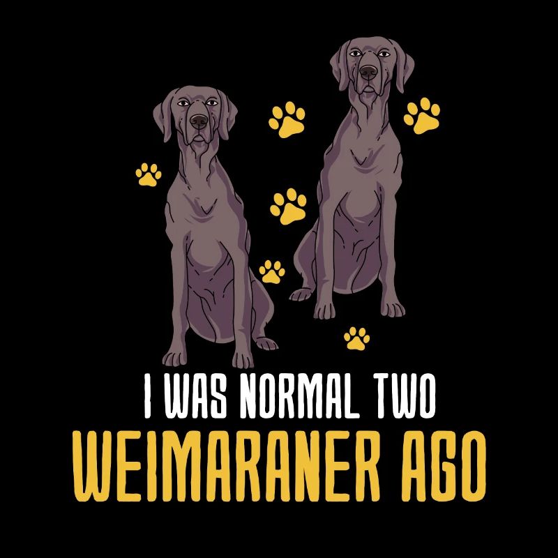 Weimaraner