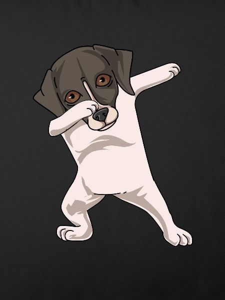 Whippet