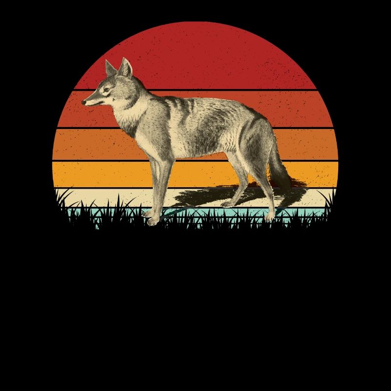 Jackal