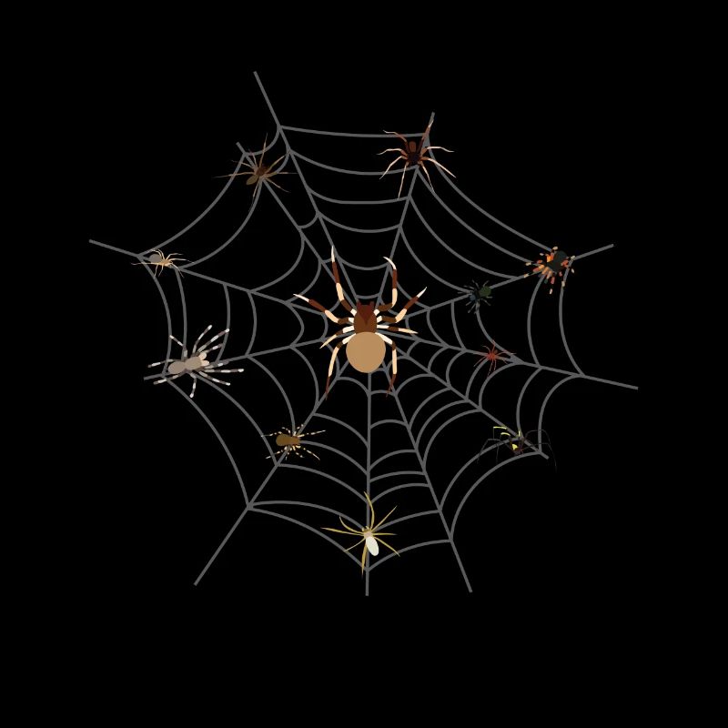 toile d’araignée tarentule