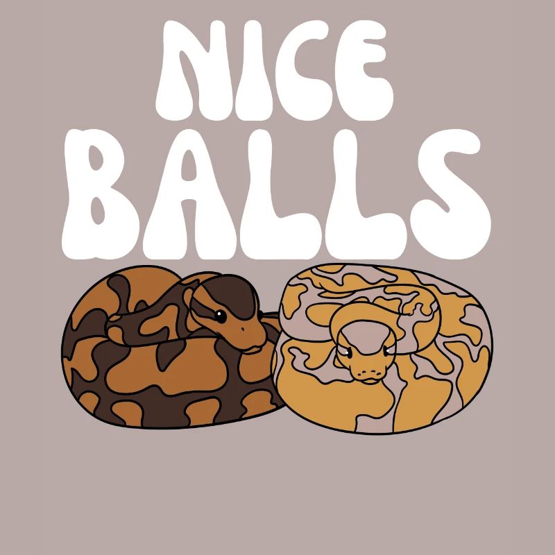 Serpent python royal