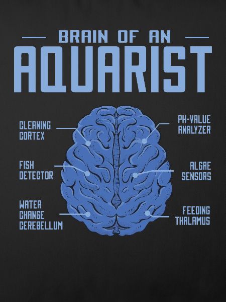 Aquarium